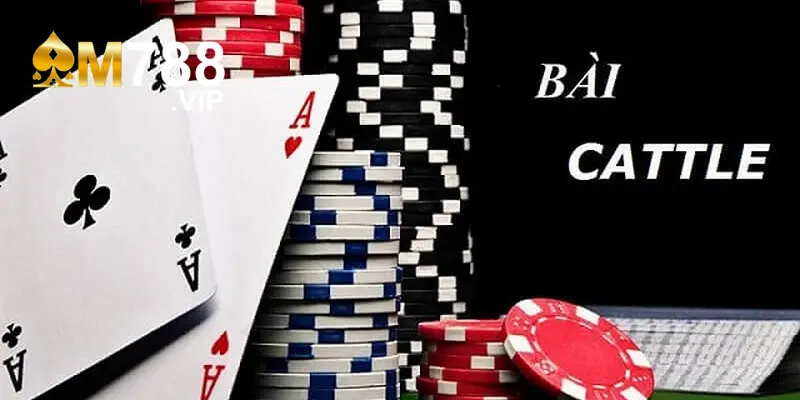 Bật Mí Cách Chơi Catte Giúp Bạn Nhanh Hốt Bạc 4 Việc tôi luyện các kỹ năng đánh bài giúp game thủ tăng tỷ lệ trúng thưởng